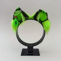 Image 1 of Toxic Kitten