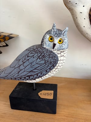 Image of Small Grey horned owl 