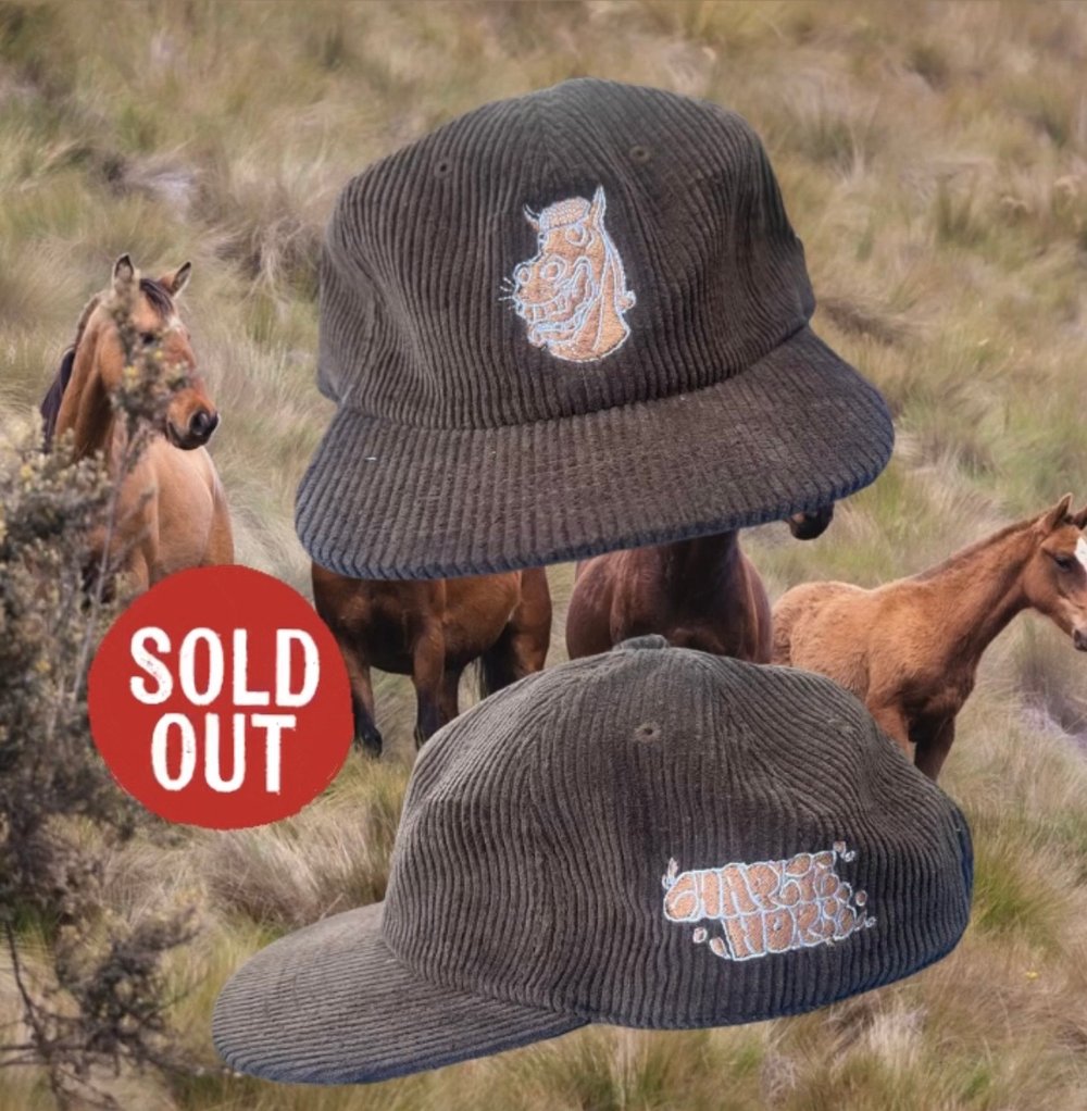 Image of Charlie cord hat BROWN