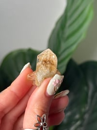 Image 2 of HIGH QUALITY HIMALAYAN STAR RUTILE IN QUARTZ CLUSTER B