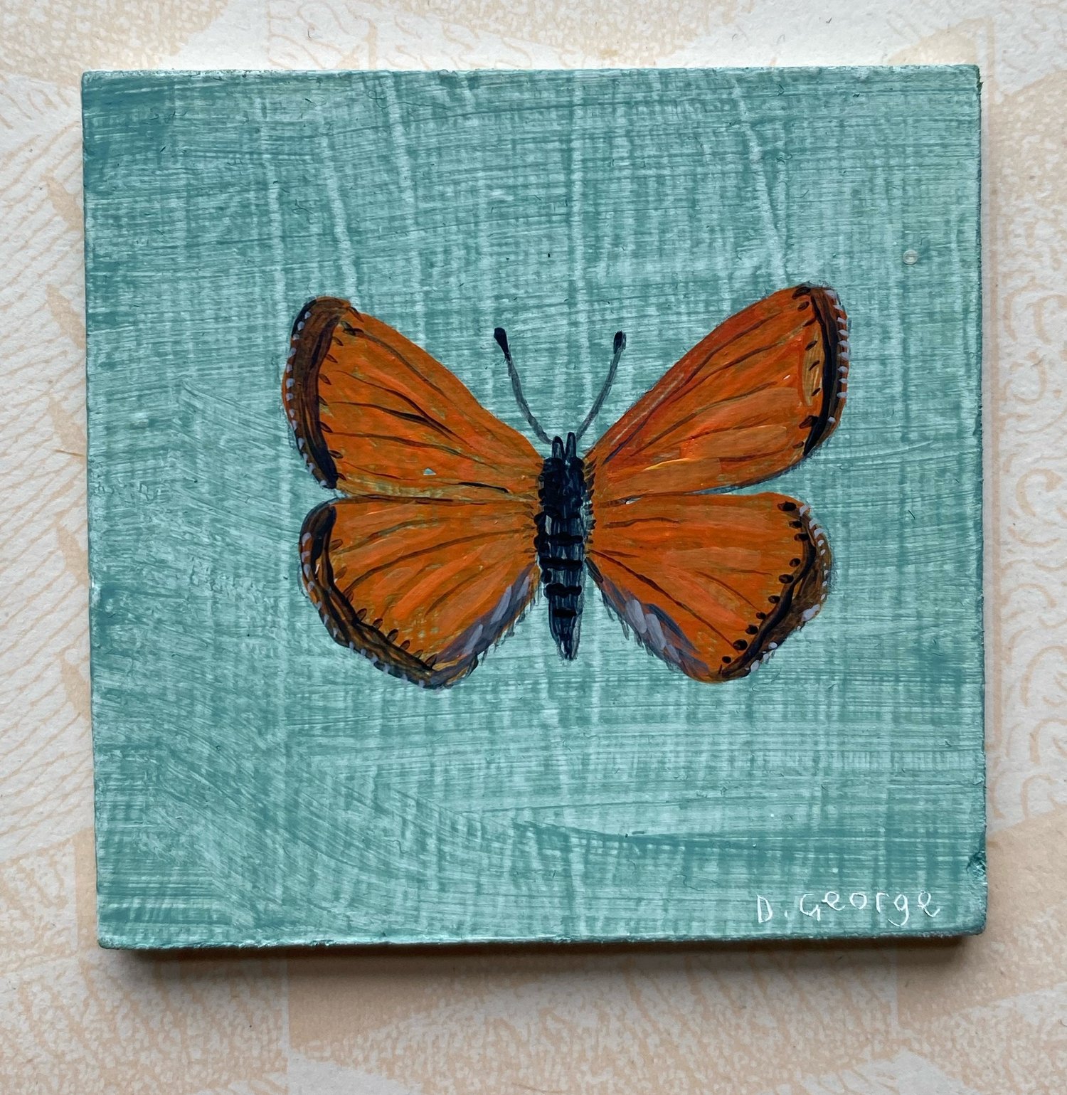Image of Miniature orange butterfly 