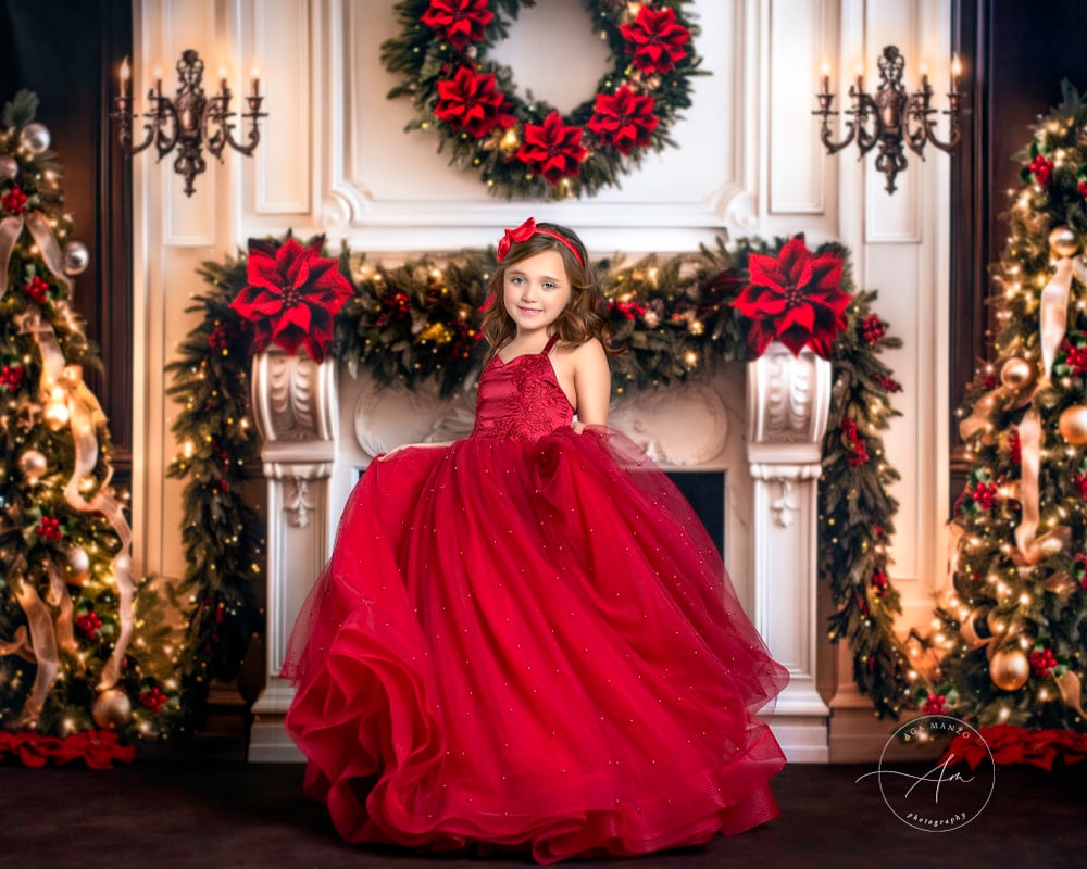 Image of Elegant Christmas Mini Session - Deposit copy