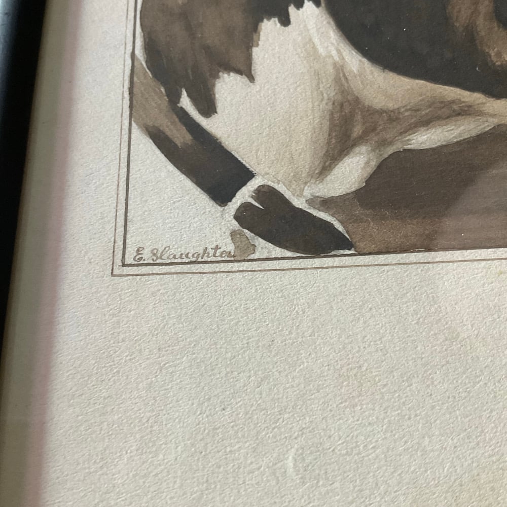 Image of Dog Portrait