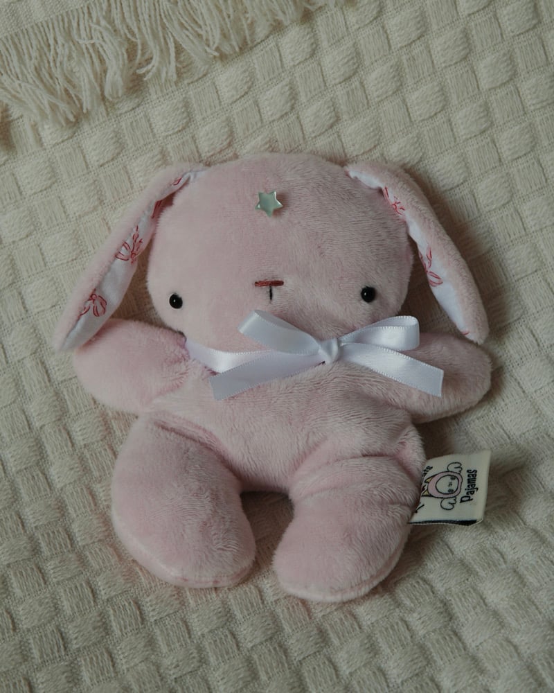 Image of FIRST TIME BUYERS ONLY Star Bunny MINIS