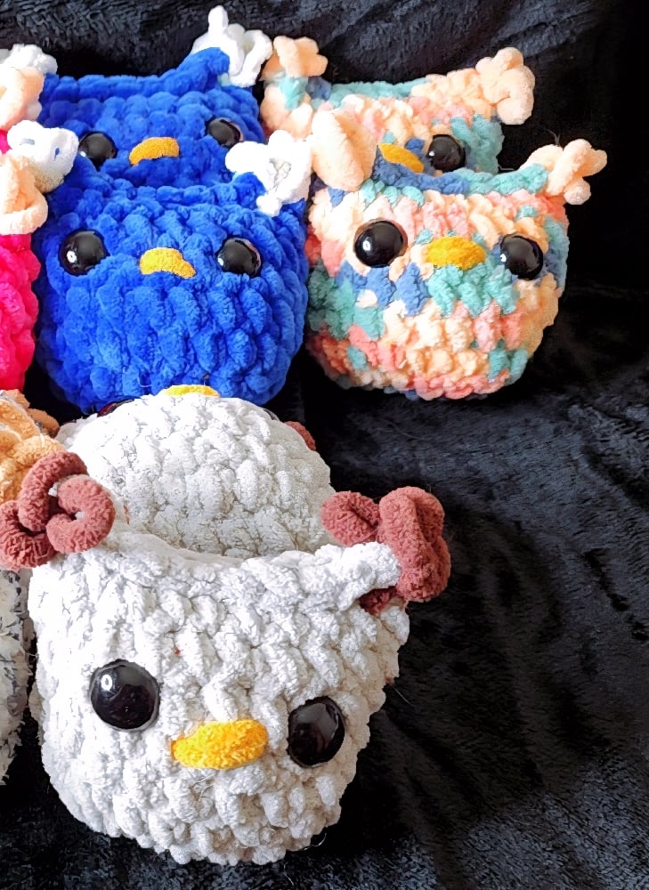 Image of Owls