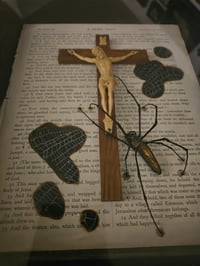 Image 6 of Orbweaver Taxiderny Spider 1800s Bible Page With crucifix and Real Web