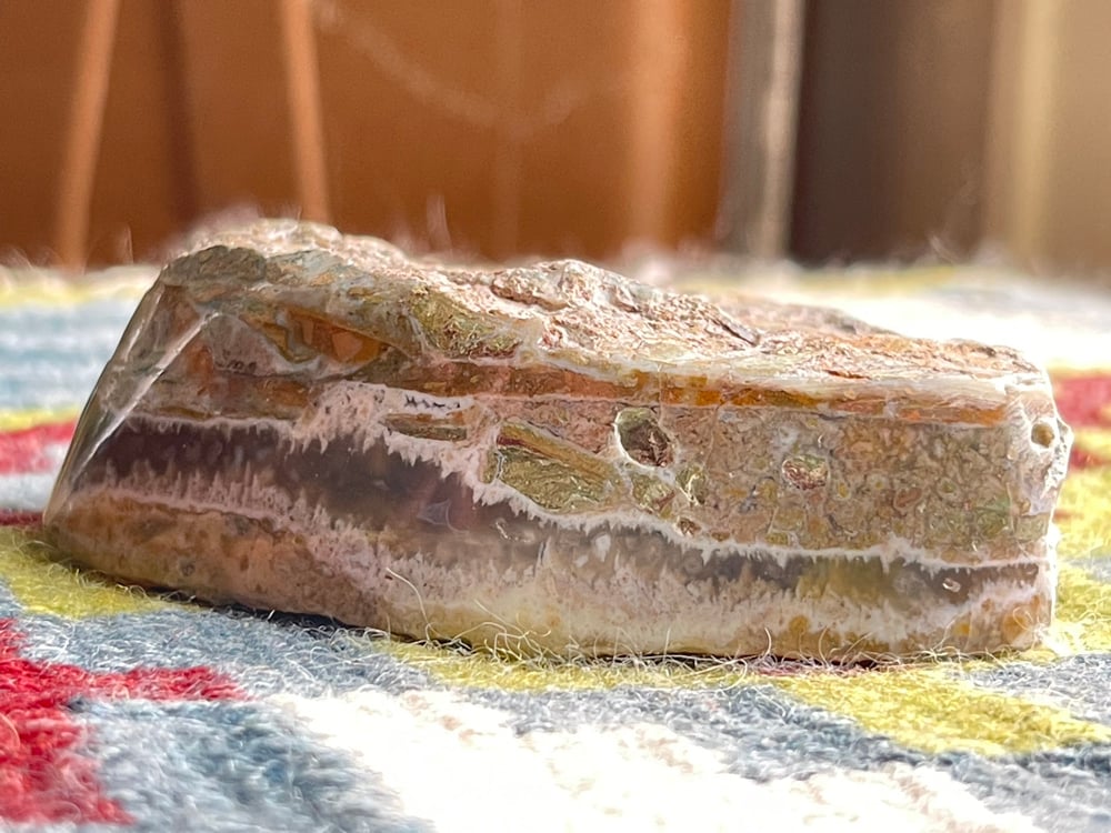 The Reptile Stone Montana Seam Agate