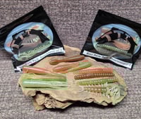 Image 1 of Bass Party Pack- Natural Wonders