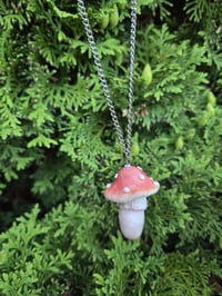 Image 1 of Amanita