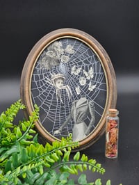 Image 1 of VICTORIAN SPIDER PEOPLE - real Preserved Web 9 