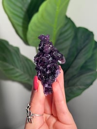 Image 1 of HIGH QUALITY SUGAR COATED PURPLE CUBIC FLUORITE -CHINA-