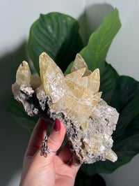 Image 4 of XXL SWEETWATER CALCITE WITH PYRITE -MISSOURI- PORCUPINE POCKET 2025 C