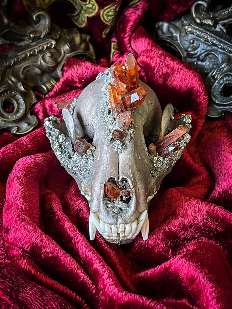 Image of Sienna Quartz and Pyrite - Raccoon Skull 