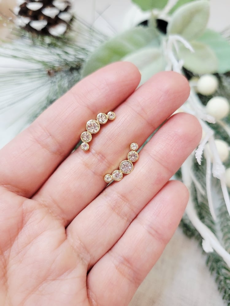 Image of Summer Earrings 