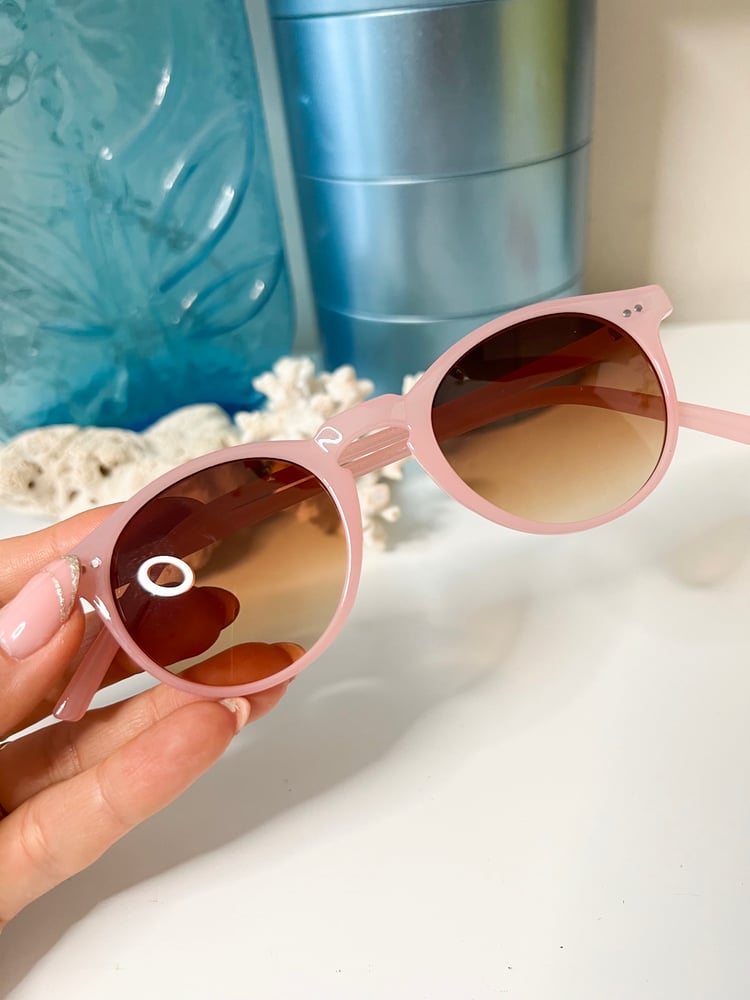 Image of Softly Rounded Sunglasses 