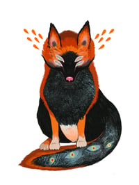 Image of Night Fox