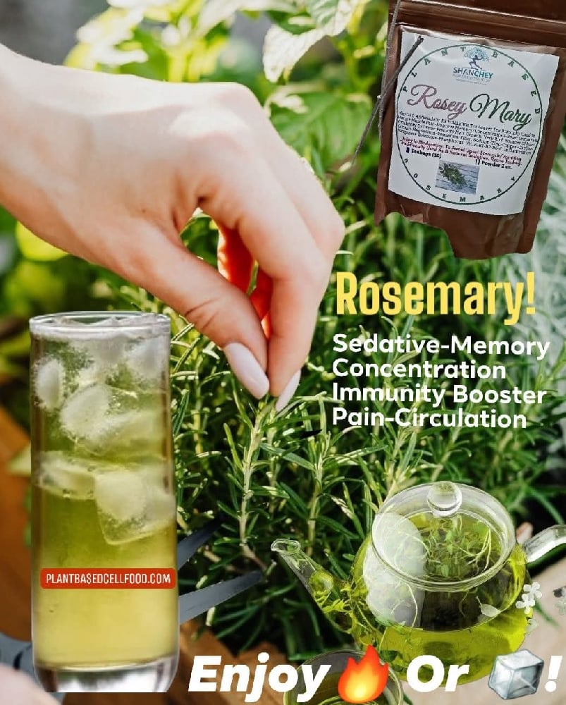 Rosey Mary Leaf Of Rosemary Tea. Sedative-Memory/Concentration-Pain-Immunity Booster-Circulation