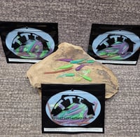 Image 2 of Panfish Party Pack- Random 