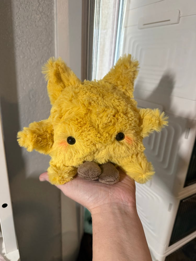 Image of Leggy sun PREORDER