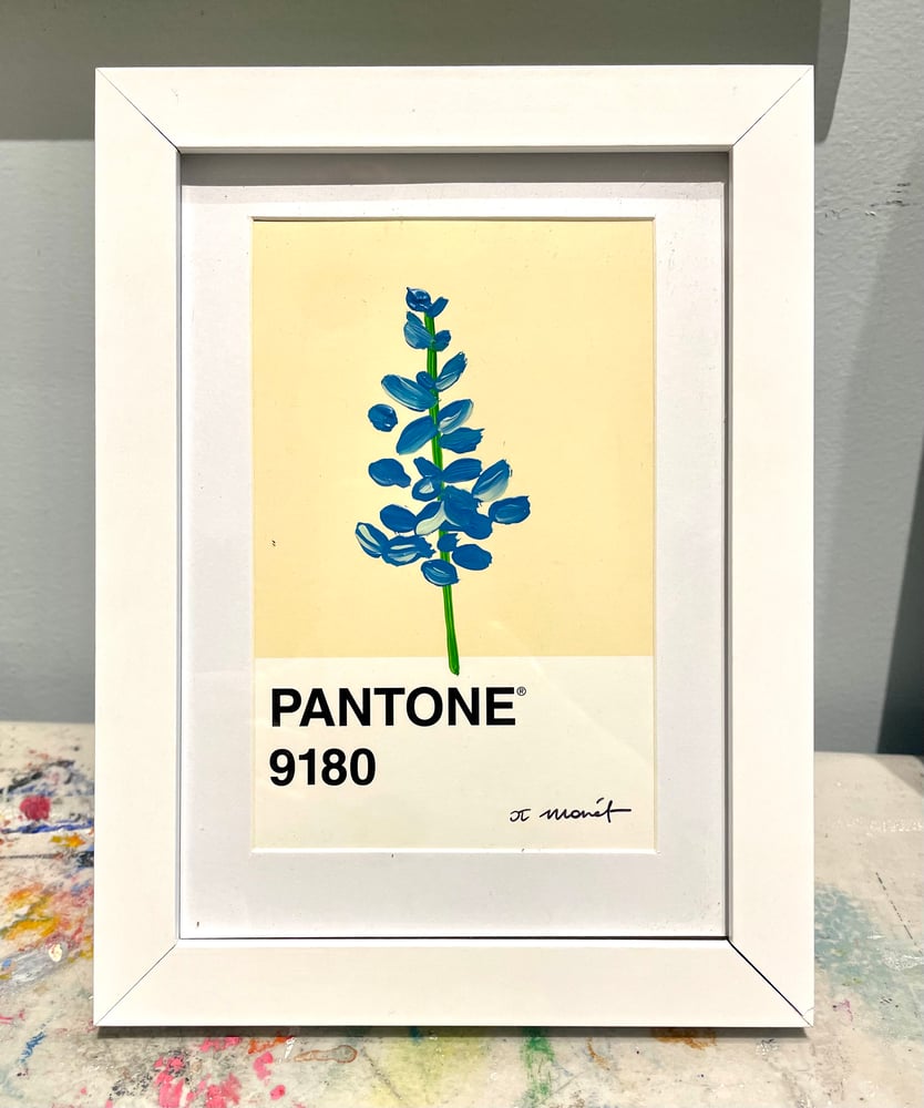 Image of Blue Flower Pantone