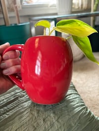 Image 3 of Neon Philodendron in Red M&M mug