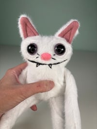 Image 2 of Mini Weighted Baby Cats