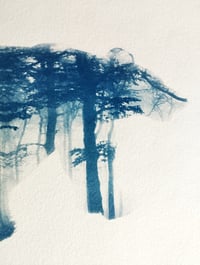 Image 3 of Cyanotype de "Balade en forêt"
