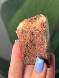 Image 3 of MOSSY PEACH LAGUNA AGATE