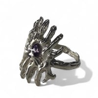 Image 1 of Purple Thorns
