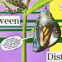 Image 4 of Metamorphosis Through Time Between Distant Kin