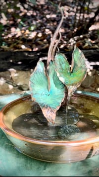 Image 2 of …….💧🕊️Grace🍃…….