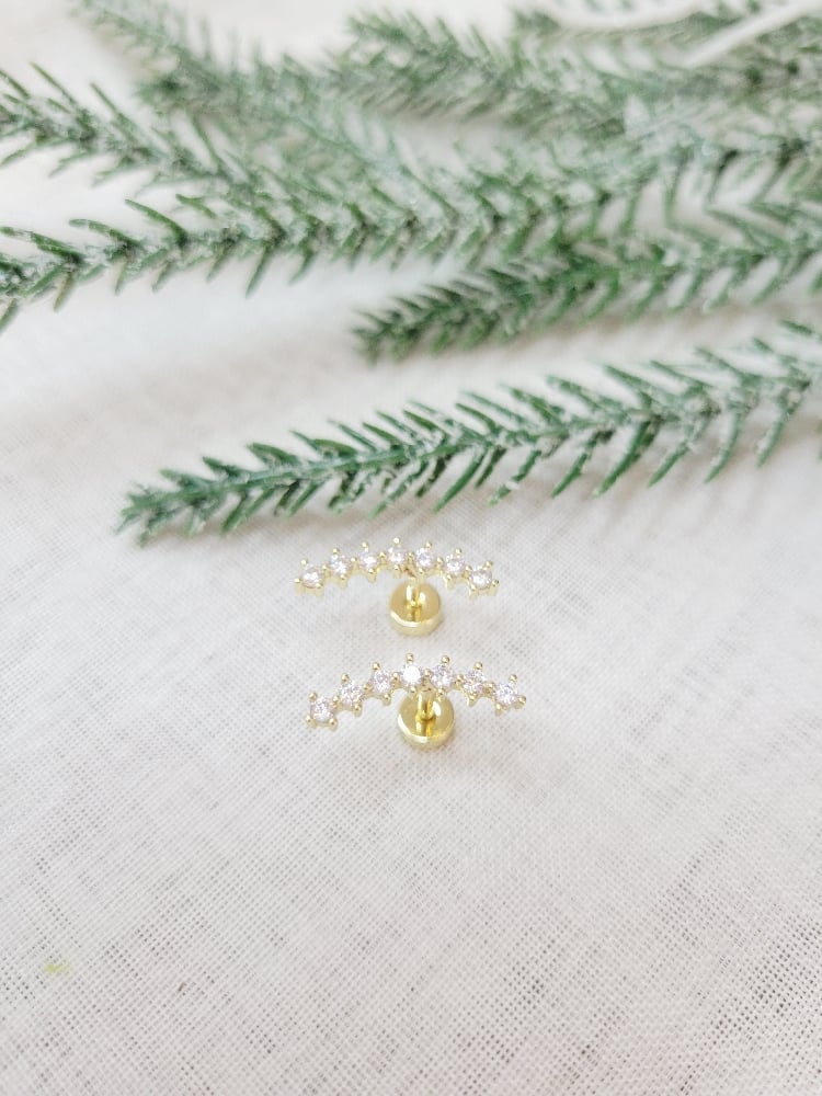 Image of Summer Earrings 