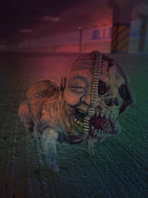 Image of First Edition Zipperface Pigman 