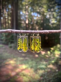 Image 1 of Clover and Sun Earrings 