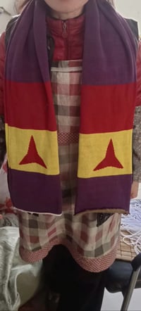 Image 1 of International Brigades Football Scarf