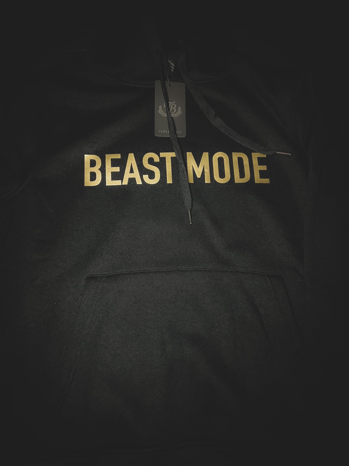 Gold beast 2024 logo hoodie