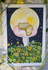 Image 2 of "Midnight Foraging"