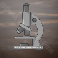 Image 4 of Twi Filler Pins