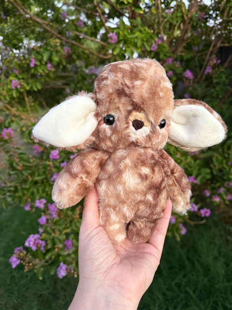 Image of Baby deer