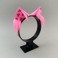 Image 3 of Pink and Red Cherry Kitten