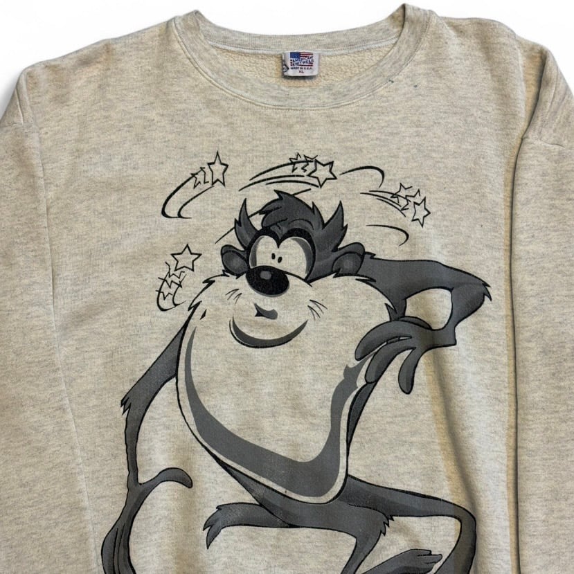 Image of 1990s Looney Tunes Taz Graphix Sweatshirt (L)