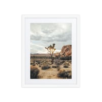 Image 1 of Joshua Tree