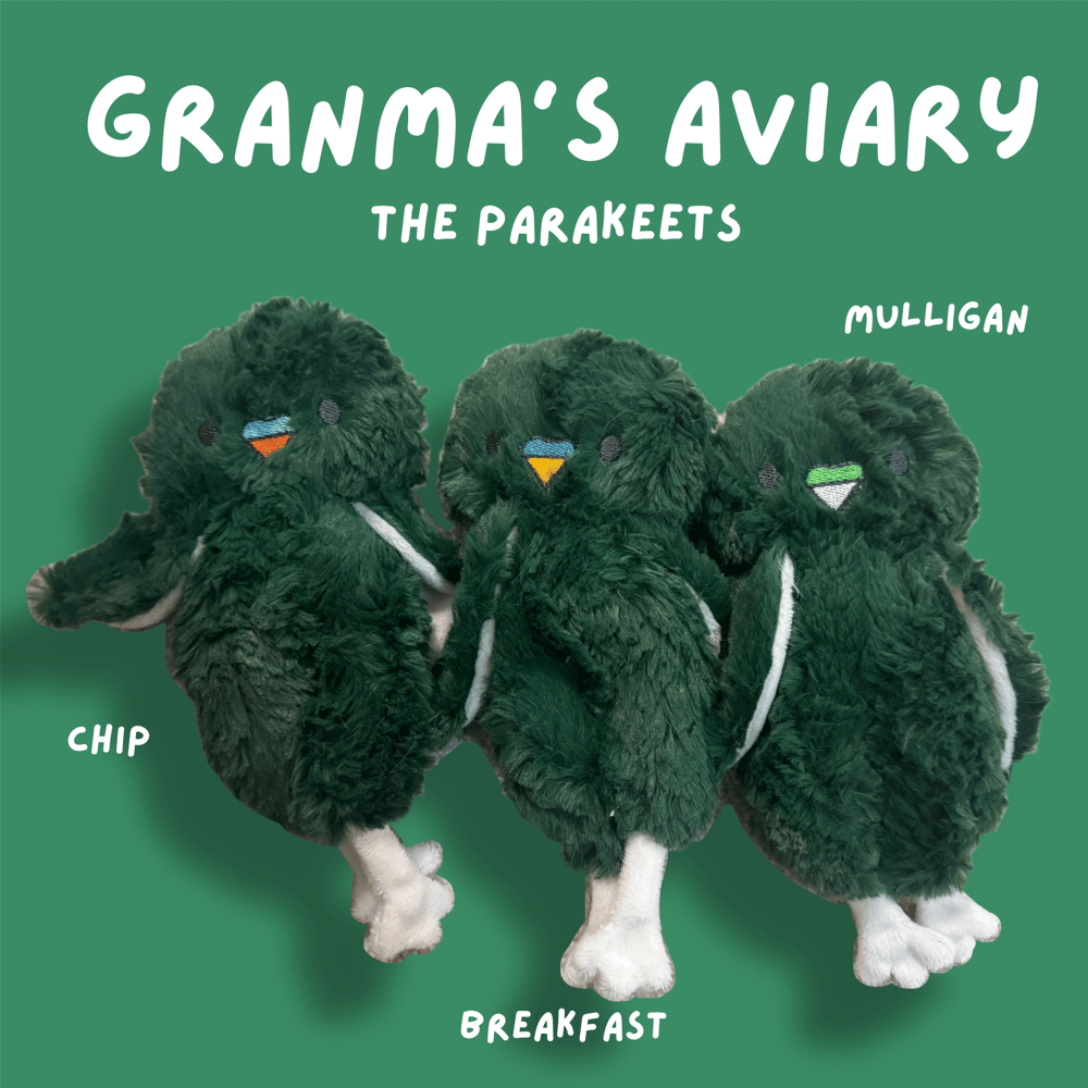 Image of The Parakeets