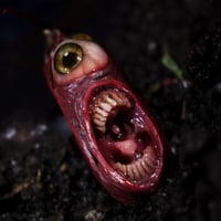 Image 1 of Duel Iris "Screamer”, flash reflective, glow in the dark eyes 