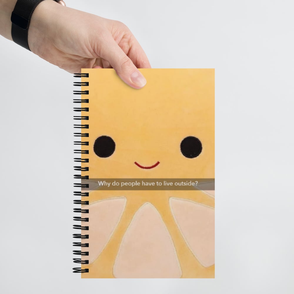 Image of Chat Pile/Squishmallow Spiral notebook