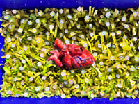 Image 3 of Lost & Found- Molly David