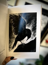 Image 3 of Raven Book