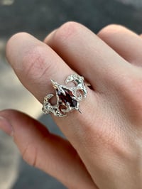 Image 3 of Ring “ Pfhe”