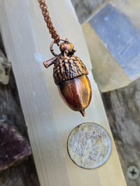 Image 2 of Electroformed Swamp Chestnut Oak acorn necklace 02