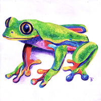 Image 1 of Crazy Rainbow Frog Print